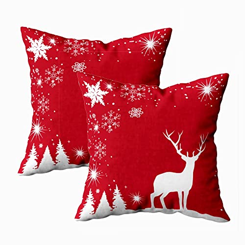 Red Deer