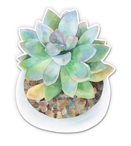 GT Graphics Watercolor Succulent in Pot Vinyl Sticker - Waterproof Decal for Laptops, Water Bottles & DIY Crafts | Cute Plant Decor for Home & Office