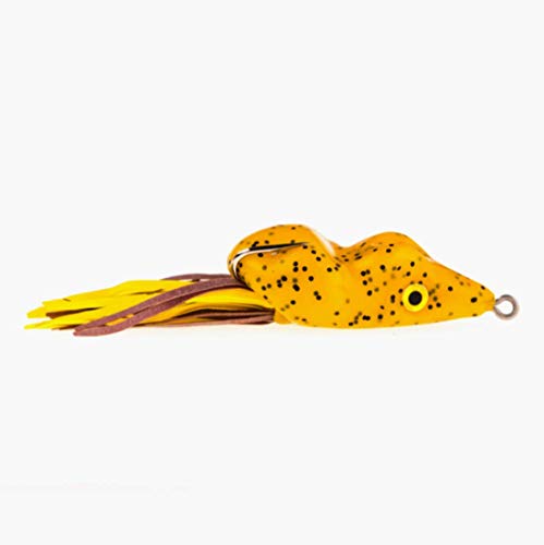 Pumpkin Seed