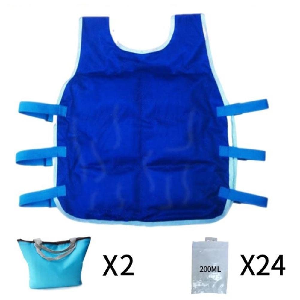 Cooling Vest with Ice Packs for Men & Women - Breathable Summer Cooling Shirt for Hot Weather, Outdoor Sports & Work - Includes 24 Removable Ice Packs (Perfect for Construction, Hiking, Running & Heat Relief)