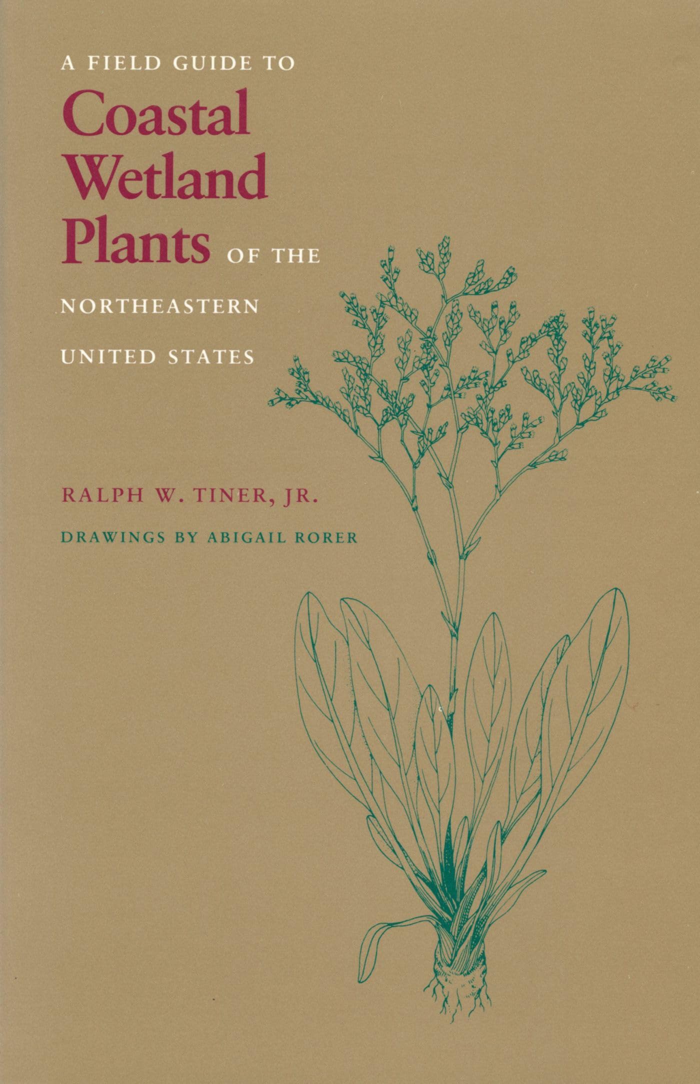 **Coastal Wetland Plants Field Guide – Northeastern United States Identification Book | Perfect for Hiking, Birdwatching & Nature Study**