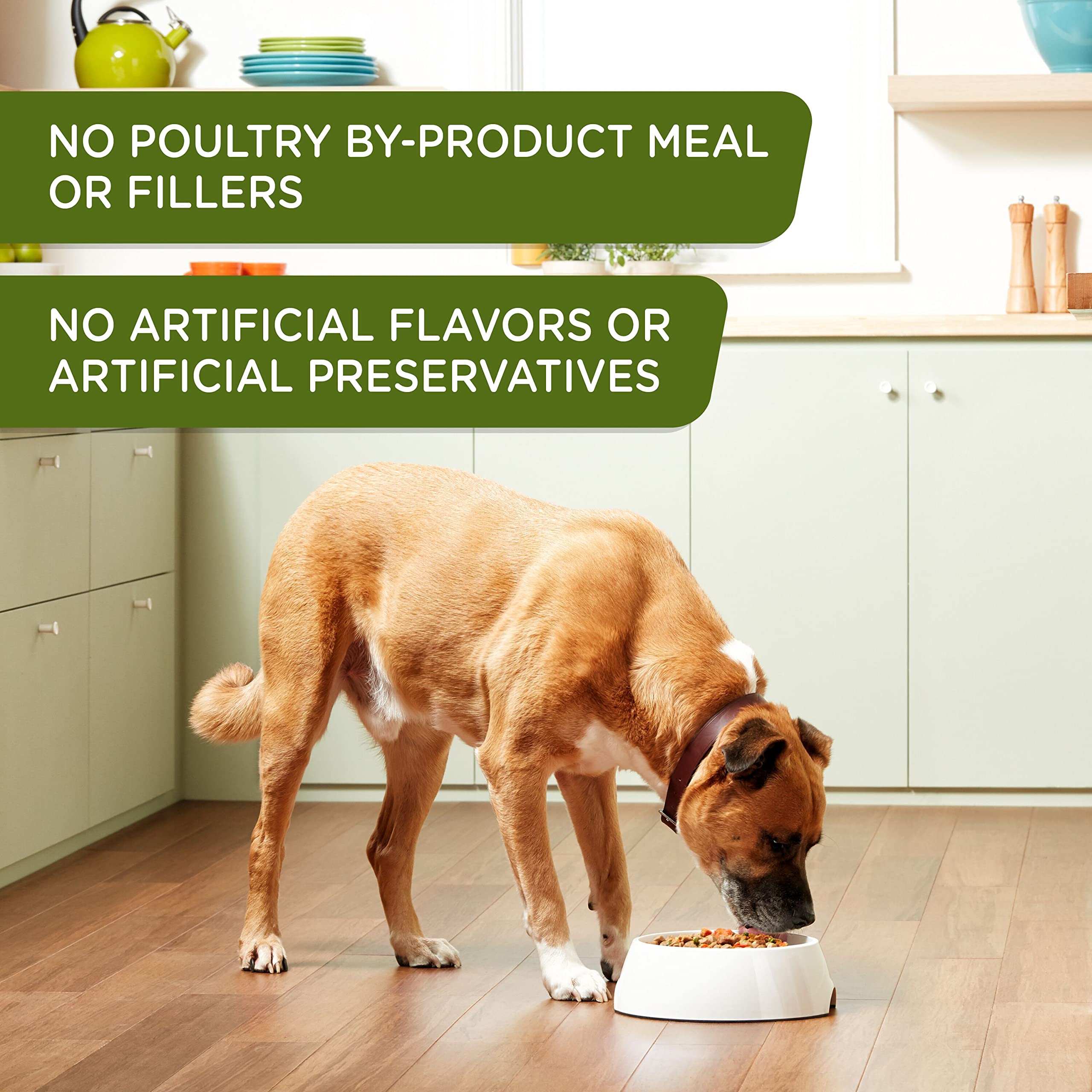 Rachael Ray Nutrish Zero Grain Wet Dog Food - Chicken Recipe, 13oz Can (Pack of 12) | Grain-Free, Natural Ingredients for Healthy Digestion | Perfect for Adult Dogs & Puppies at Mealtime or as a Tasty Topper
