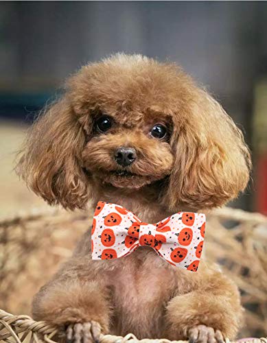 Lionet Soft Comfortable Halloween Bowtie Dog Collar with Metal Buckle - Adjustable 16-26in for X-Large Dogs - Perfect for Costume Parties, Pet Photos & Holiday Gifts
