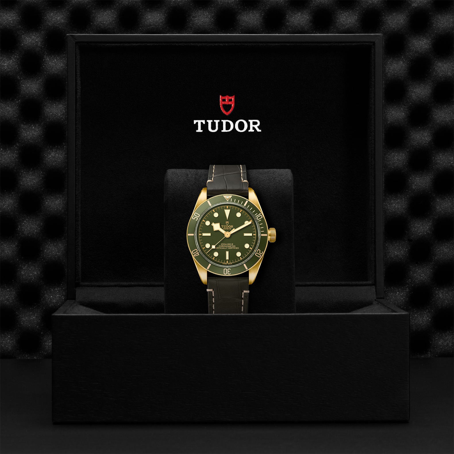 Tudor Black Bay 58 18K Gold Men's Luxury Dive Watch - Perfect for Diving, Business & Formal Occasions