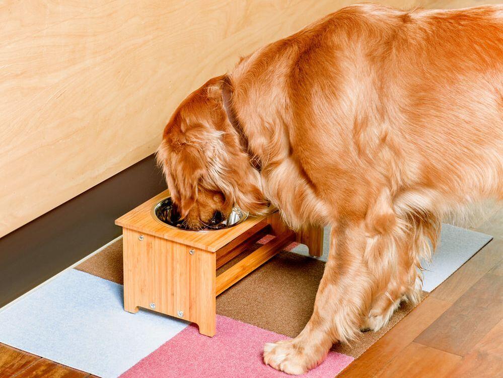 25% OFF: Triluc Non-Slip Washable & Waterproof Pet Mat - 4-Piece Set in Brown | Perfect for Kitchen, Crate & Dog Feeding Area