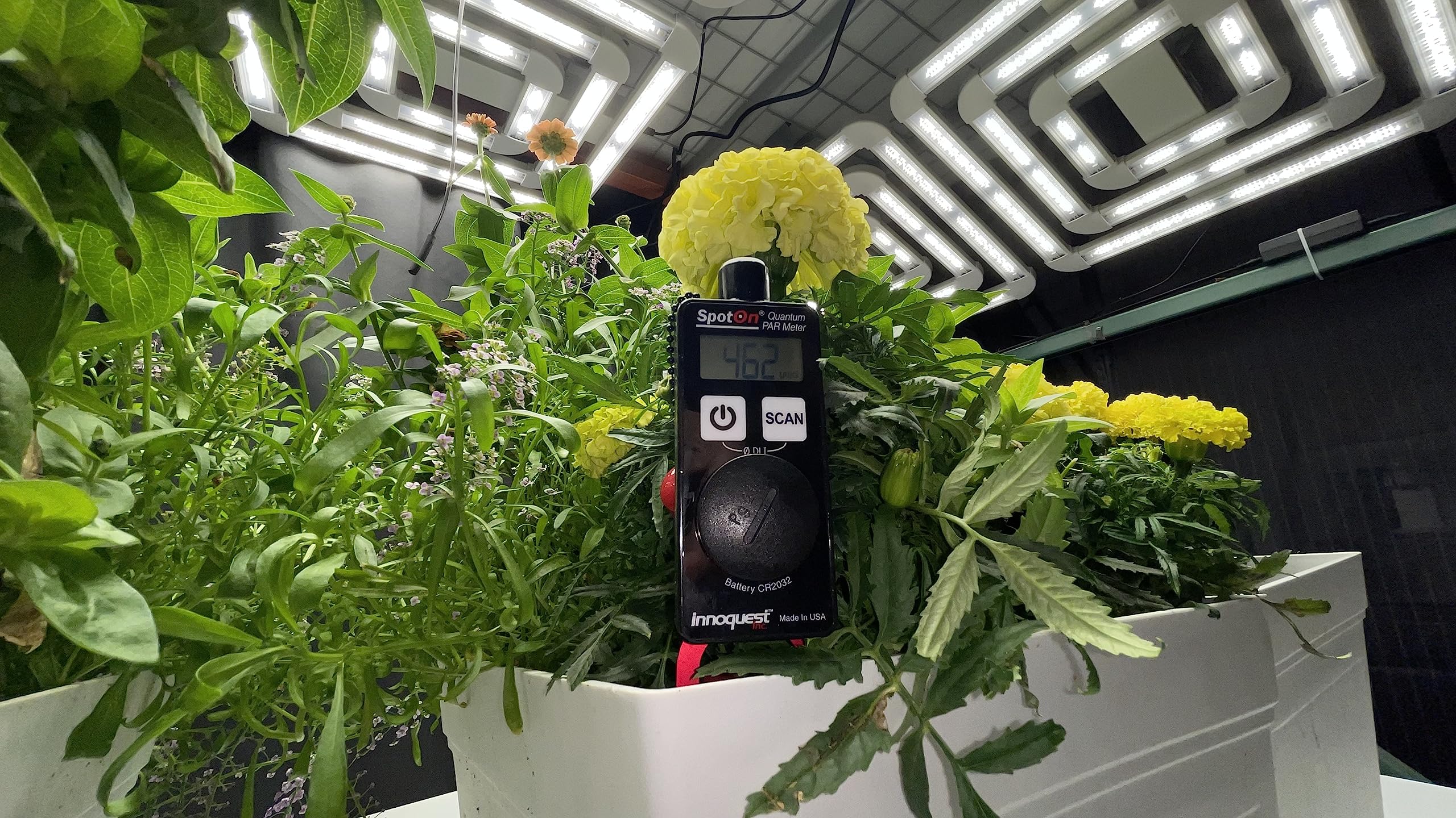 Professional SpotOn Quantum PAR Meter - High Accuracy Grow Light Tester with DLI Mode | IP65 Waterproof for Indoor, Outdoor, Greenhouse & Aquarium Plants | Perfect for Hydroponics, Cannabis Cultivation & Horticulture Lighting Measurement