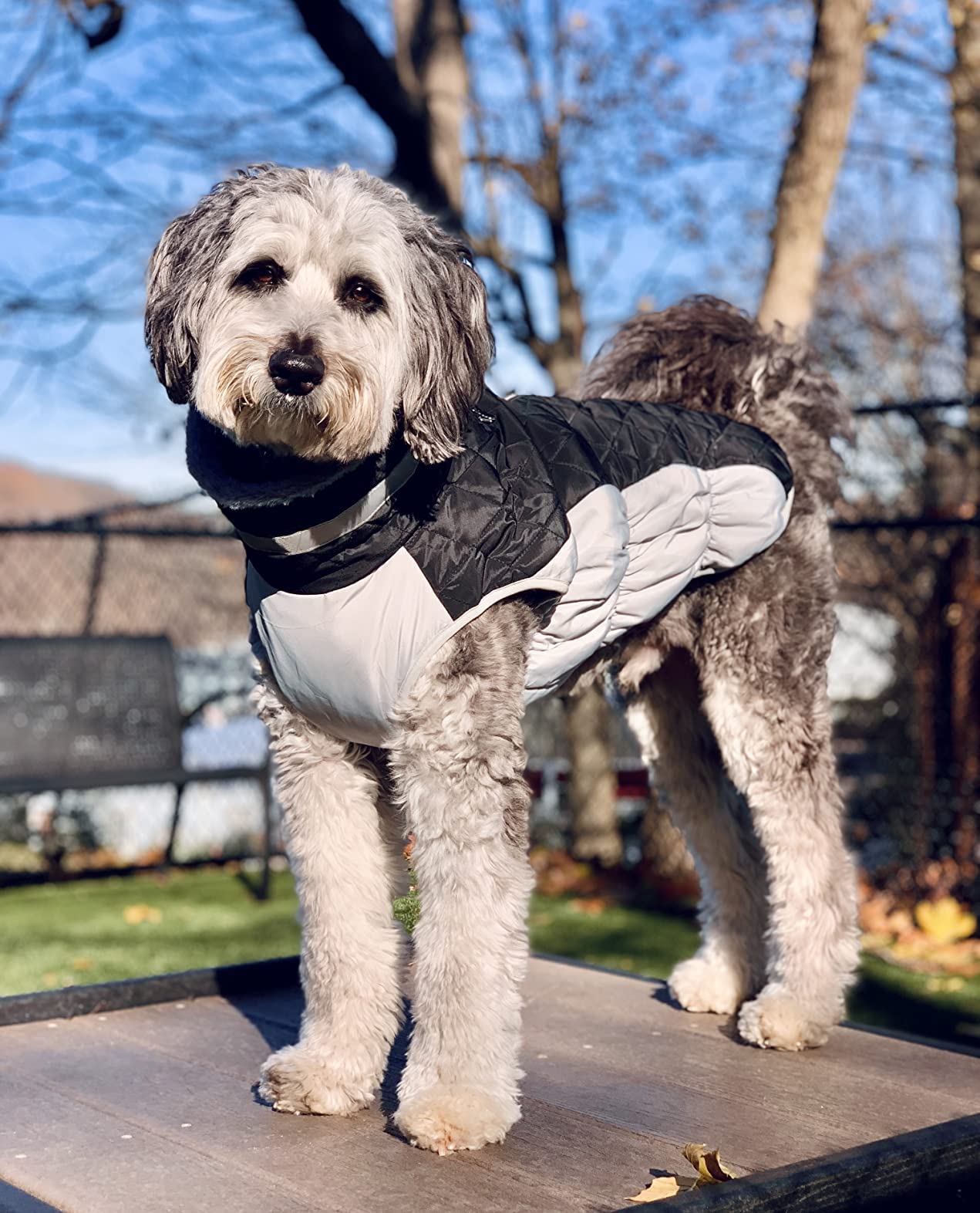 Lelepet Warm Winter Dog Coat - Windproof Reflective Fleece Jacket with Harness & Zipper for Small Medium Large Dogs | Cold Weather Protection for Outdoor Walks & Daily Use