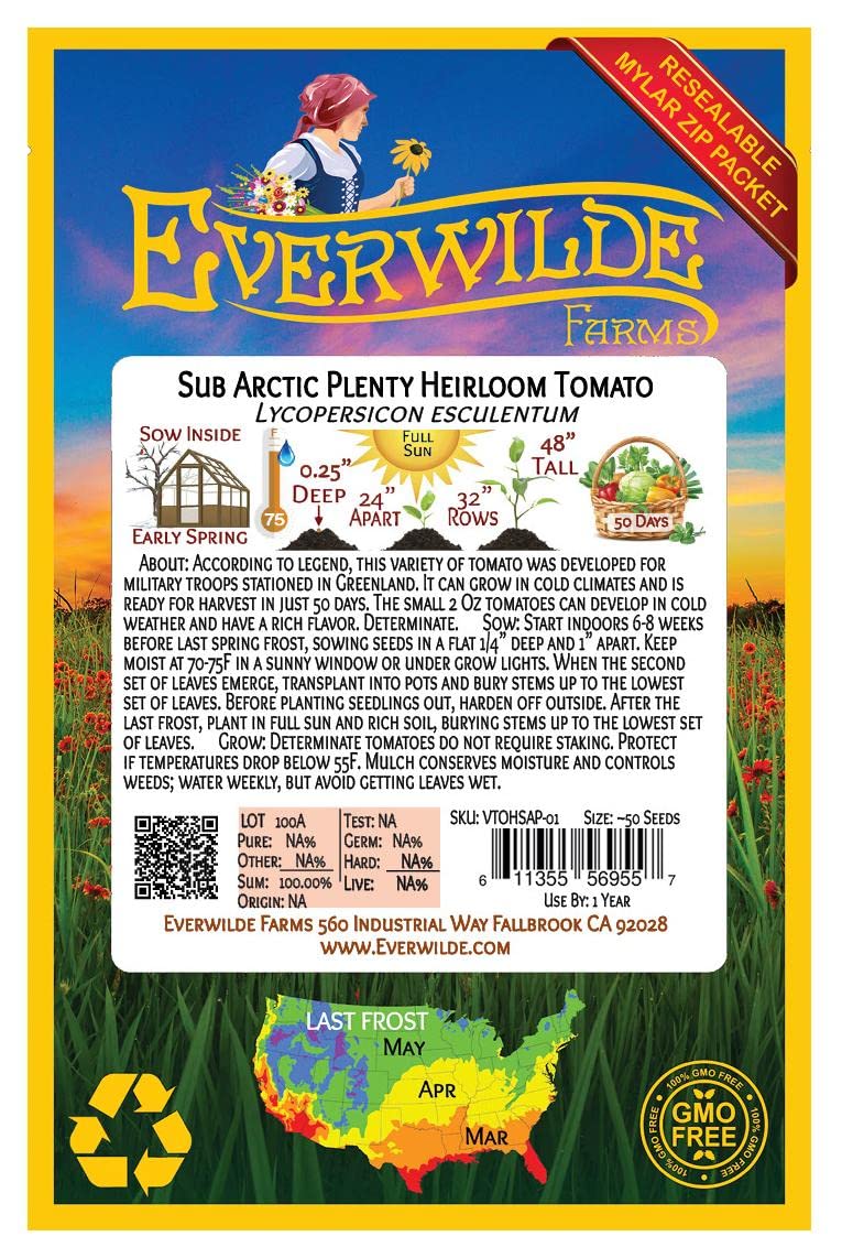 50 Sub Arctic Plenty Heirloom Tomato Seeds - Non-GMO, Open Pollinated - Perfect for Home Gardening, Greenhouses & Survival Seed Vaults - Gold Vault Jumbo Seed Packet by Everwilde Farms