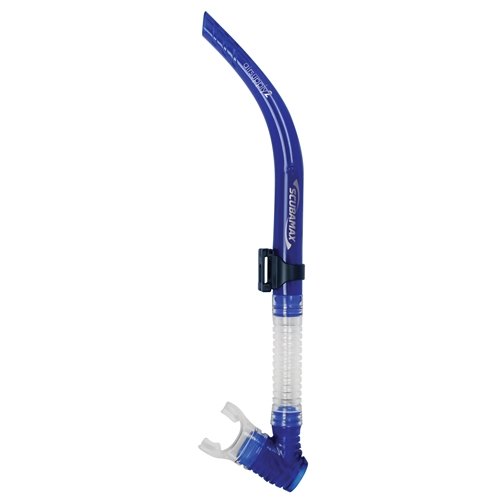 Blue / Clear