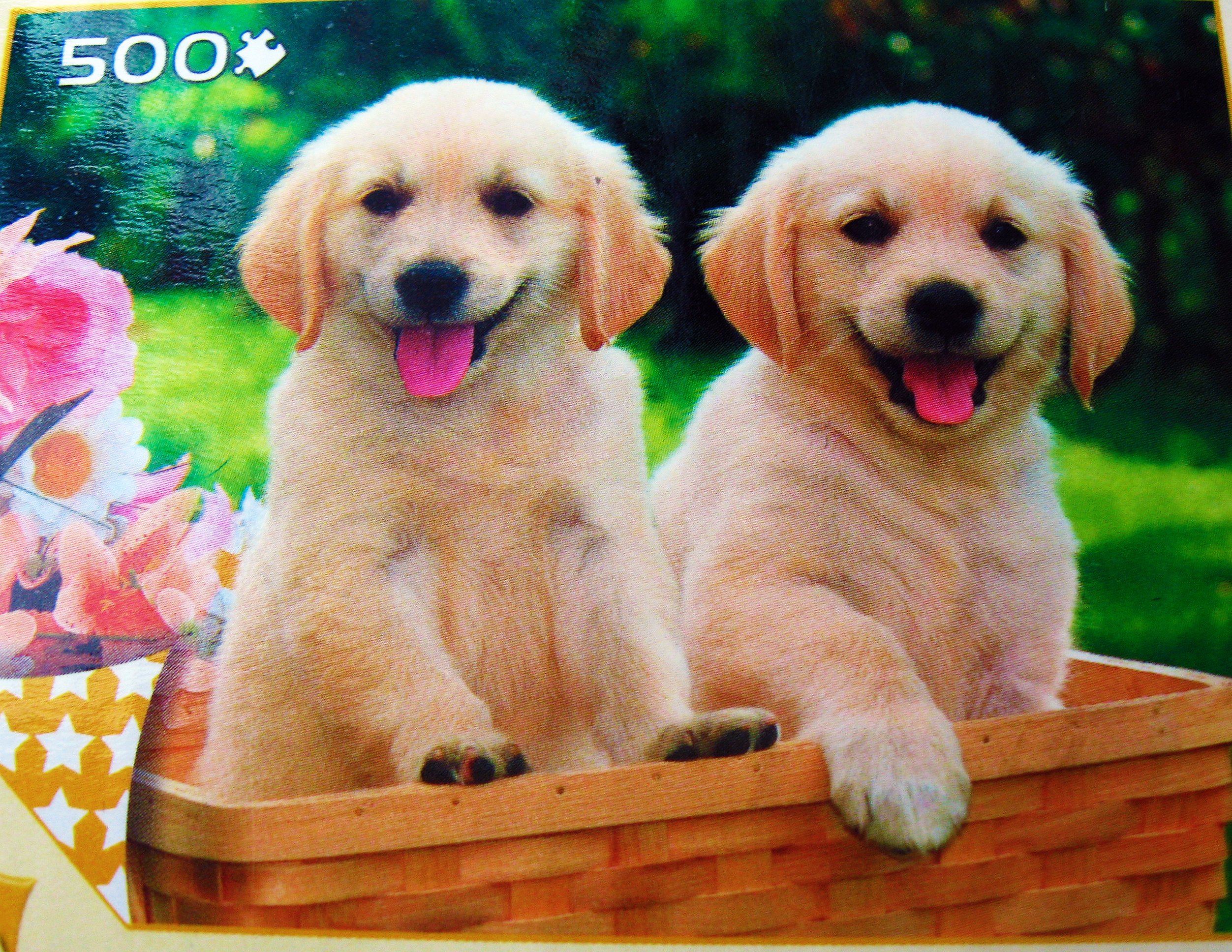 5-Pack Deluxe 500-Piece Jigsaw Puzzles by Sure-Lox for Family Game Night