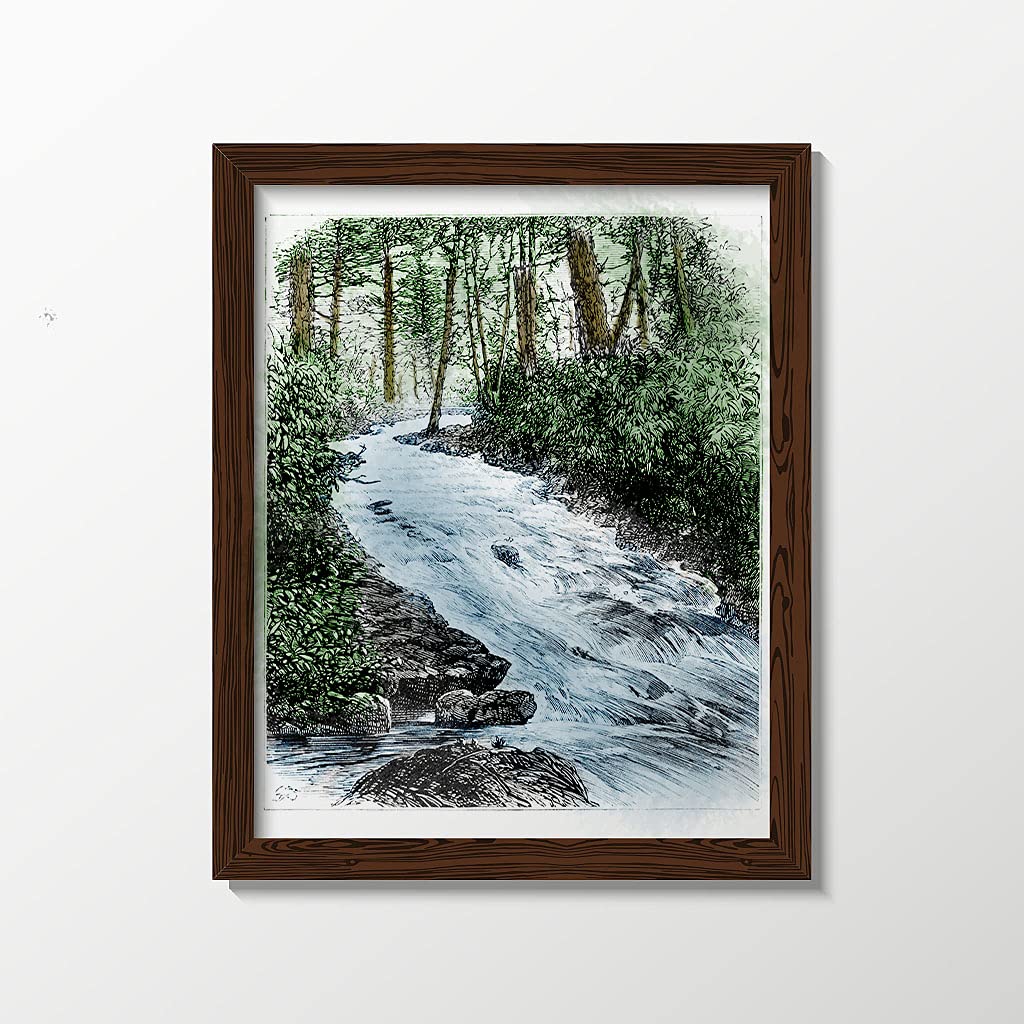 Forest River Clear Stamps for Card Making - DIY Scrapbooking Rubber Stamps with Tree Scenery Design - Transparent Photo Album Crafting Supplies - Perfect for Greeting Cards, Journals & Memory Books