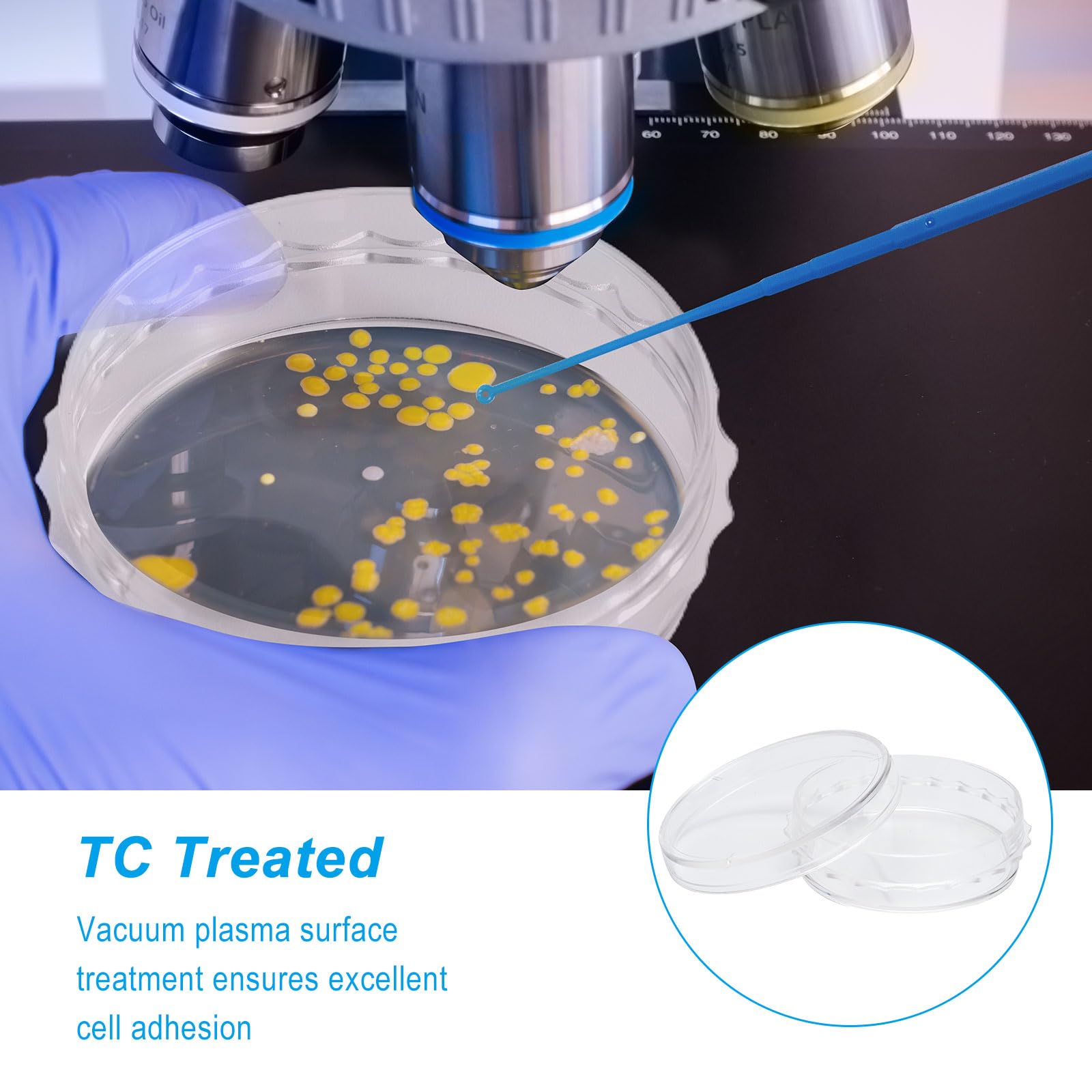 Sterile 35x10mm Cell Culture Dishes - TC Treated, 3ml Working Volume, Stackable for Tissue Culture (Pack of 10) - Ideal for Lab Research, Cell Growth & Microbiology Studies