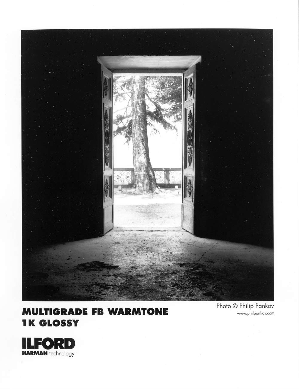 Ilford Multigrade FB Warmtone Glossy Photo Paper 8x10 Inches - 100 Sheets Pack for Darkroom Printing, Fine Art Photography & Professional Portraits