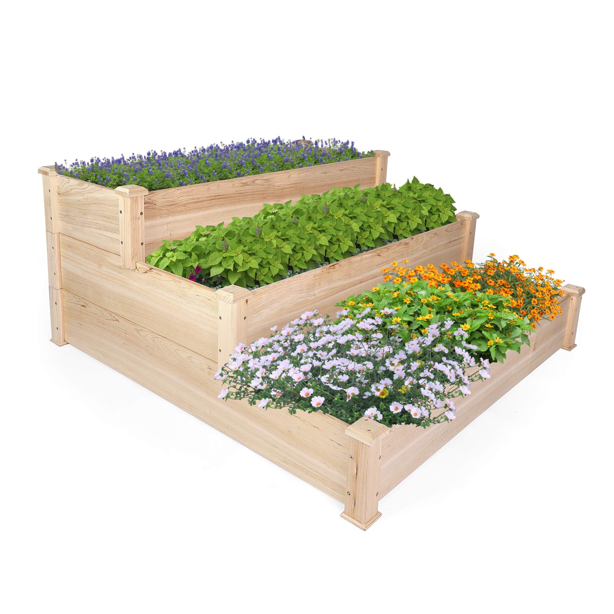3 Tier Raised Garden Bed Kit - Elevated Outdoor Wood Planter Box for Vegetables, Flowers & Herbs | Perfect for Patio, Backyard & Small Space Gardening