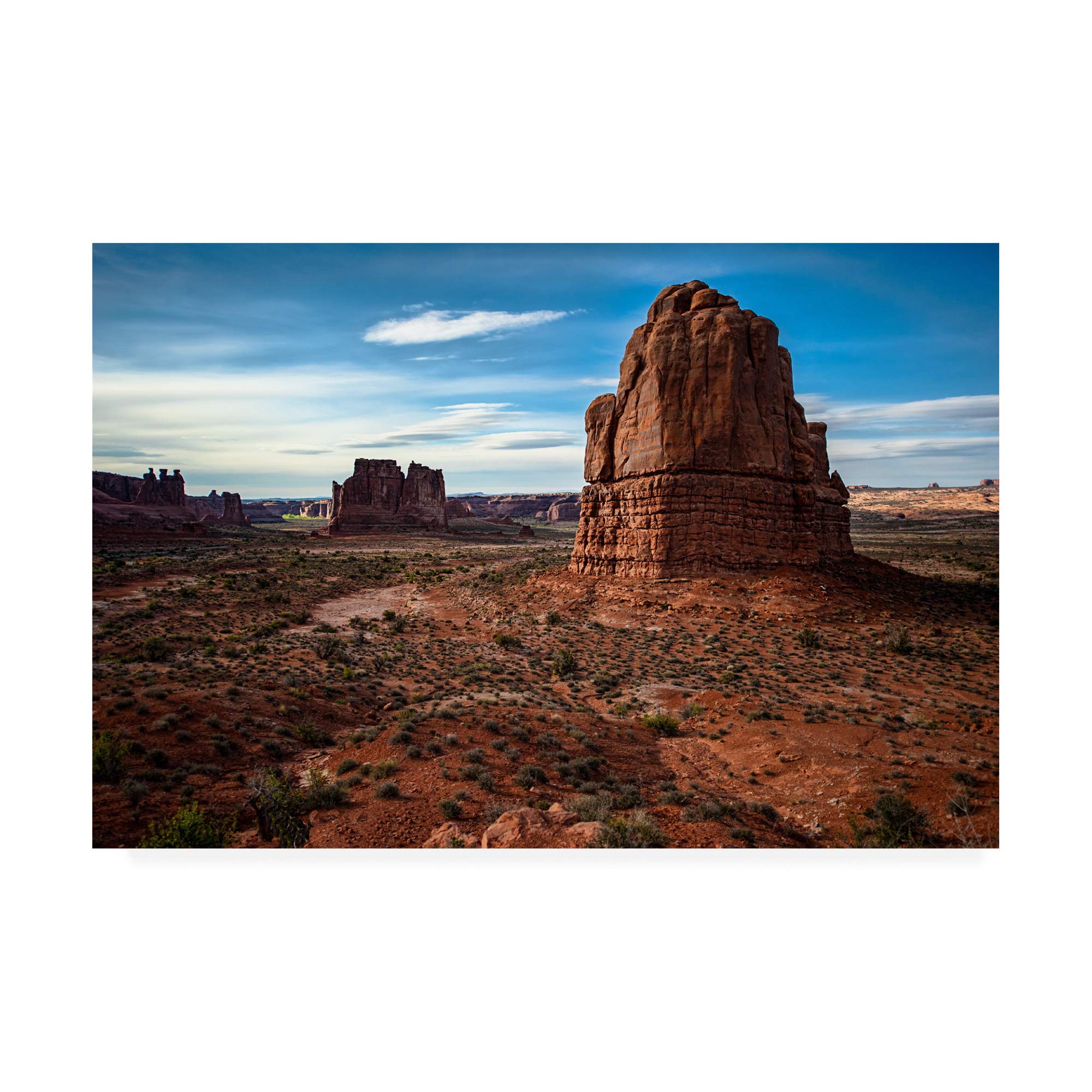 Trademark Fine Art MA01041-C2232GG Zion National Park Canvas Print by David Ayash - 22x32 Inches Wall Art for Living Room, Bedroom & Office Decor