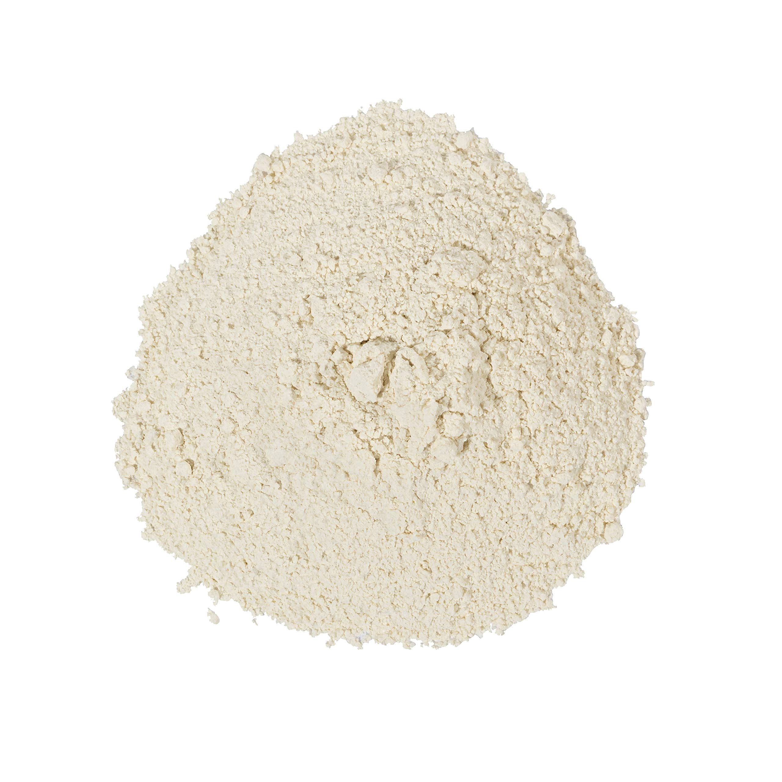 OliveNation Powdered Soy Milk - Vegan Milk Substitute, Dairy-Free, High Protein, Non-GMO | Perfect for Smoothies, Baking & Coffee Creamer