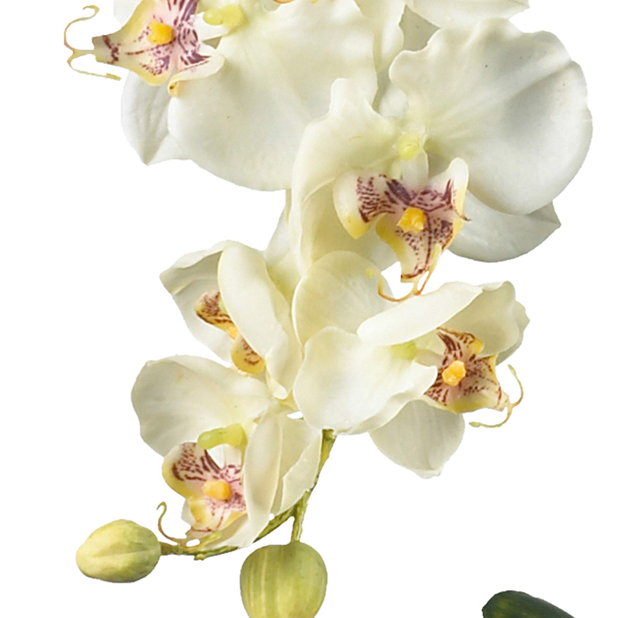Nearly Natural 4643-WH White Phalaenopsis Silk Flower Arrangement with Glass Vase - 29