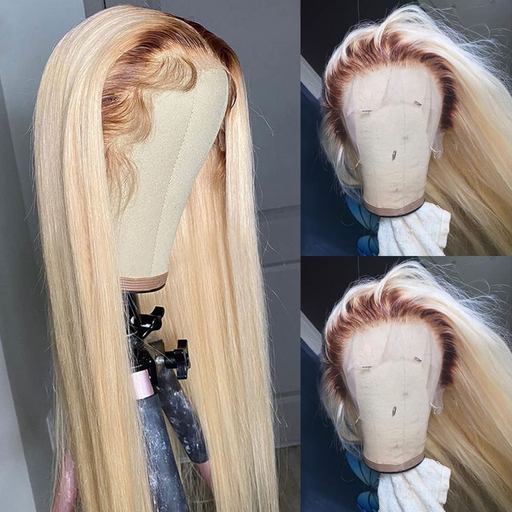 ANDRIA 13X4 HD Lace Front Wig - Glueless Straight Synthetic Hair with Pre-Plucked Hairline & Baby Hair | 200% Density Ombre 613 Blonde Long Silk Wig (26 Inches) for Black Women | Perfect for Daily Wear, Cosplay & Special Occasions