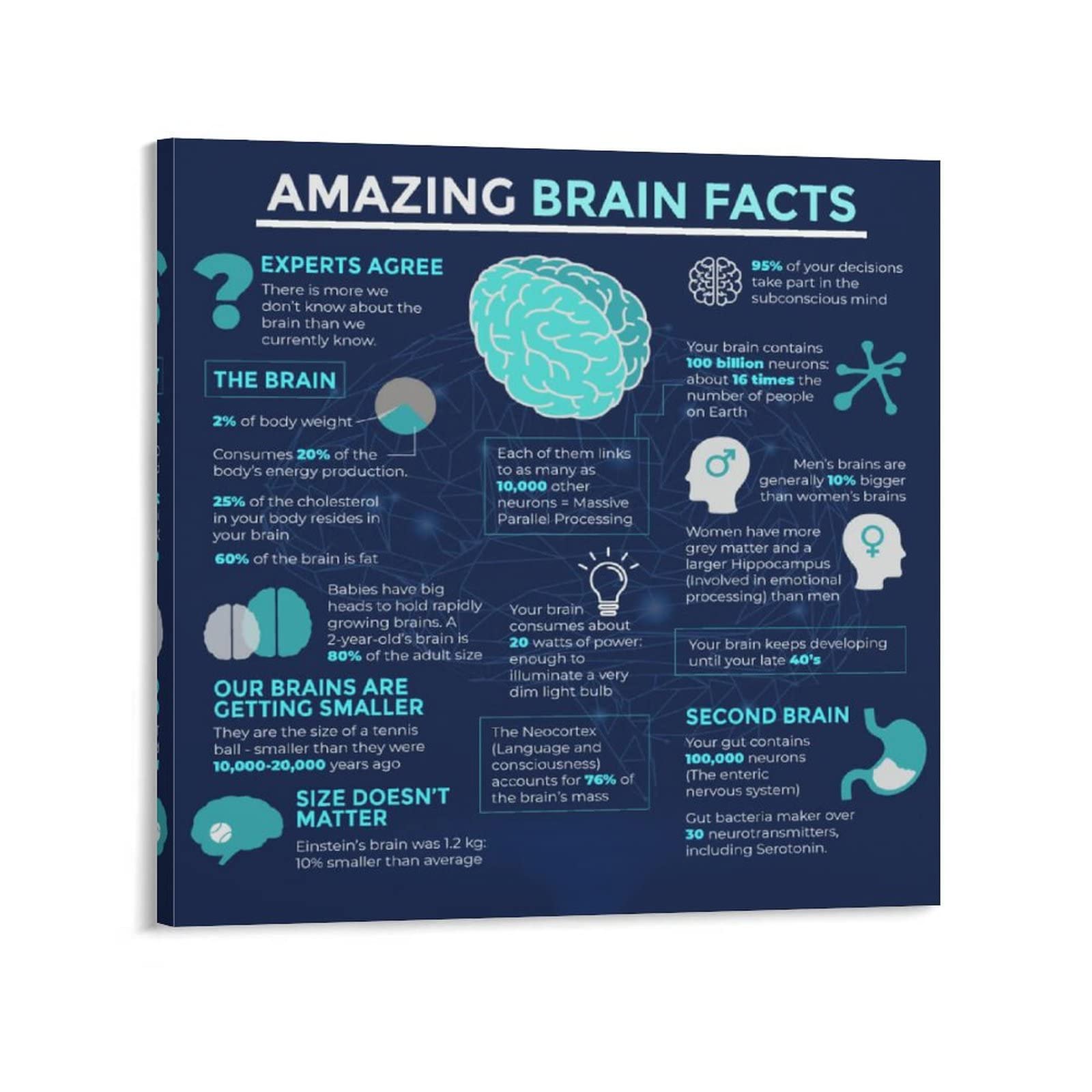 Brain Autophagy Healing Posters - 12x12 Inch (30x30cm) Wall Art Prints for Home & Office Decor - Perfect for Bedroom, Living Room, and Meditation Space Wall Decoration