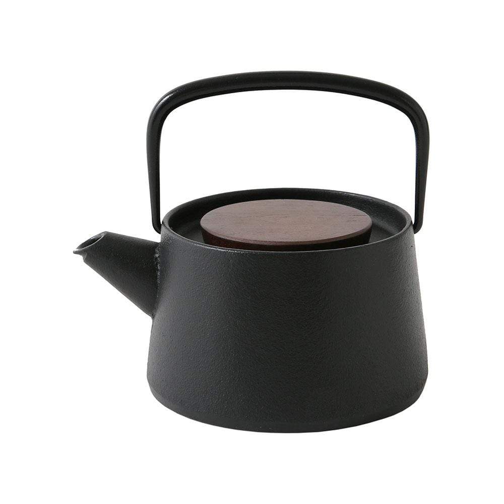 Premium Ikenaga Tetu Nambu Cast Iron Teapot - Japanese Tetsukyusu for Loose Leaf Tea Brewing - Perfect for Tea Ceremonies, Home Use & Gifts