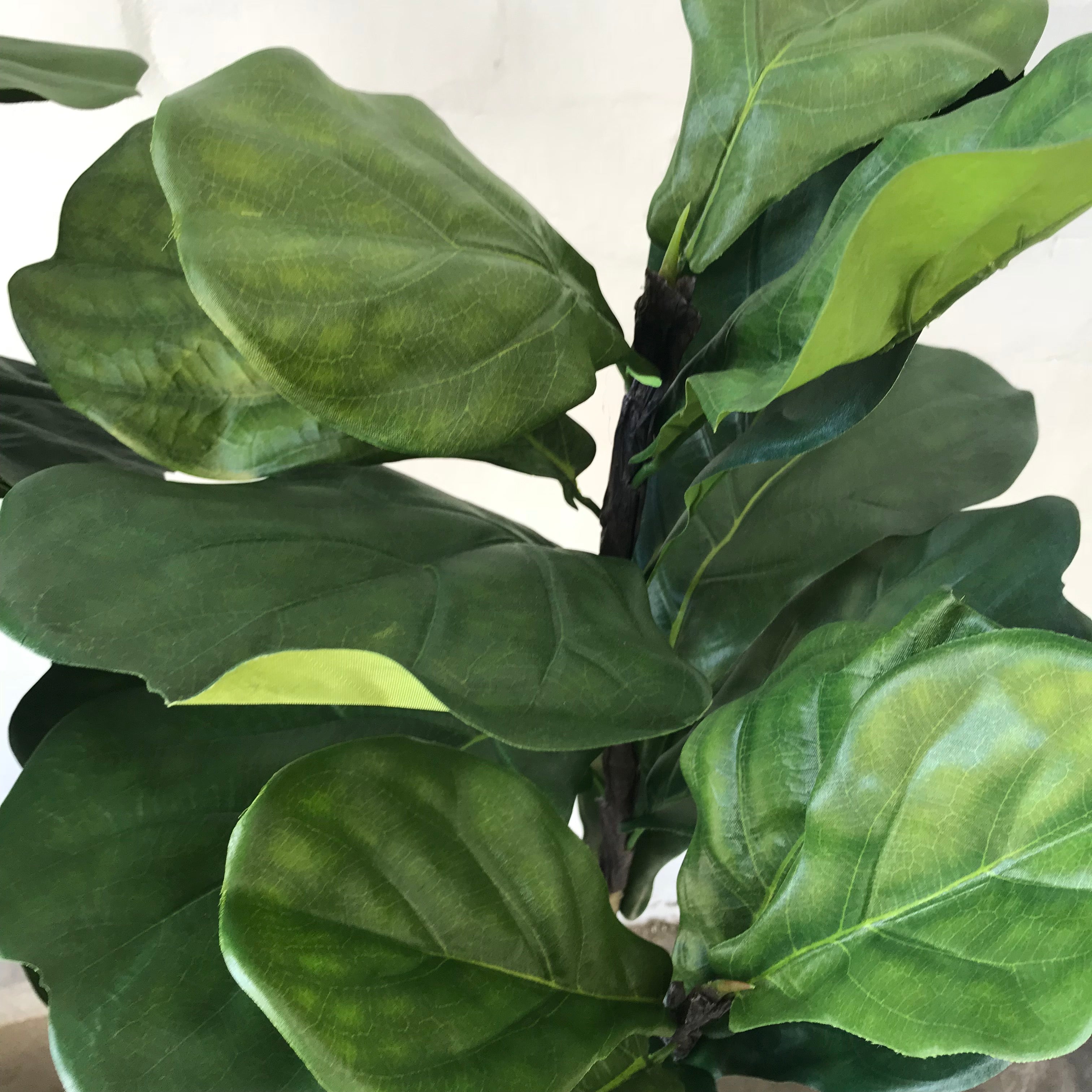 Artificial Fiddle Leaf Fig Tree - 6ft Tall Fake Ficus Lyrata Plant for Home & Office Decor - Perfect for Living Room, Bedroom, or Indoor Spaces