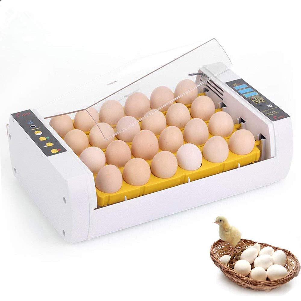 24 Egg Digital Incubator with Automatic Temperature Control - 110V Poultry Hatcher for Chicken, Duck, Goose & Quail Eggs | Perfect for Home Farming, Classroom Projects & Bird Breeding