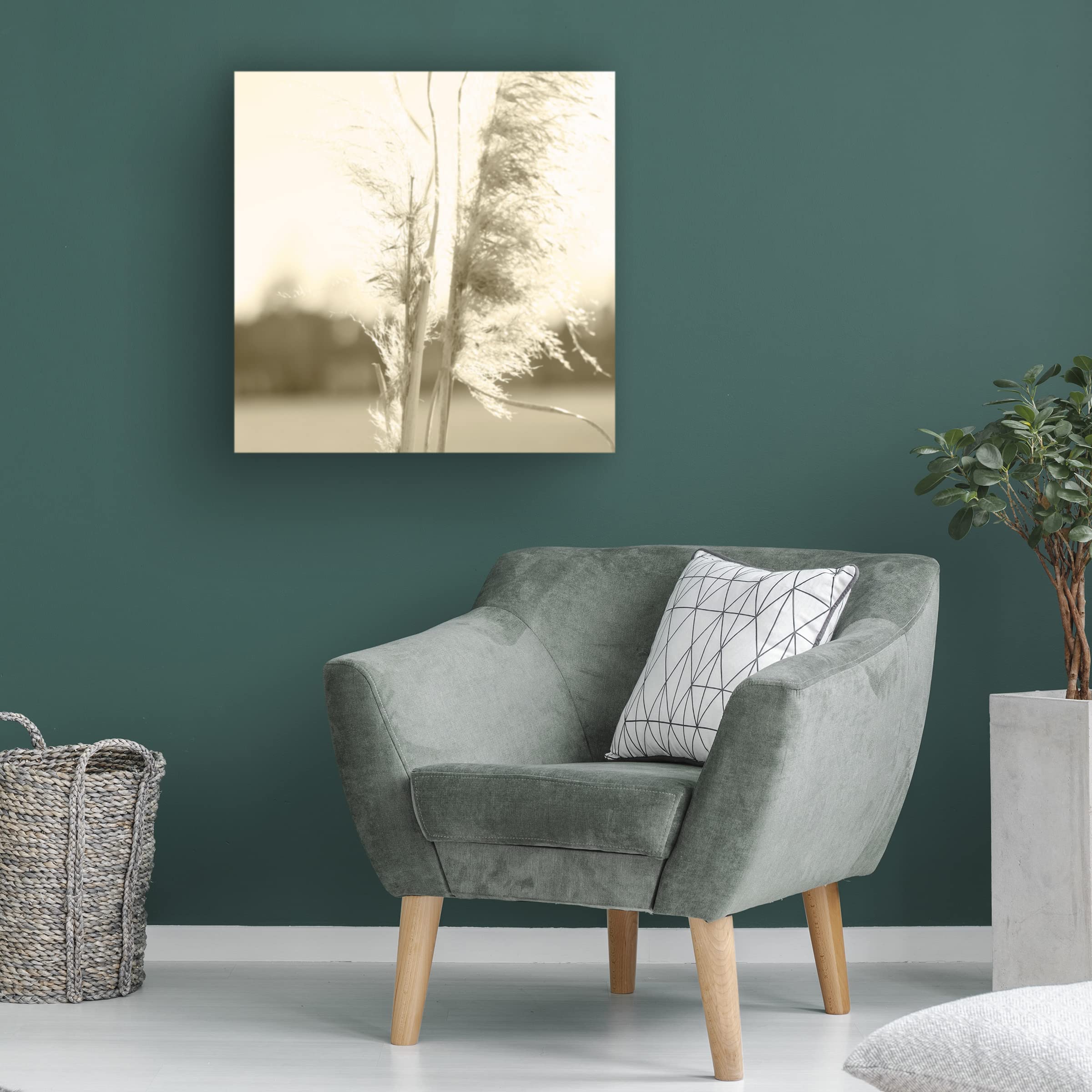 Trademark Fine Art 'Ethereal Pampas V' Canvas Wall Art Print by Jason Johnson - Modern Boho Home Decor for Living Room, Bedroom & Office