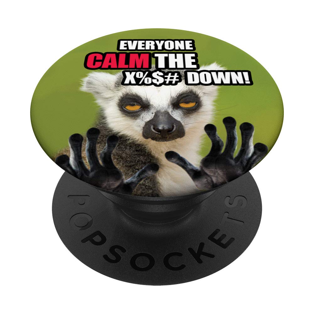 A Journey Made Safer with Keep Calm Lemur Car Phone Mount
