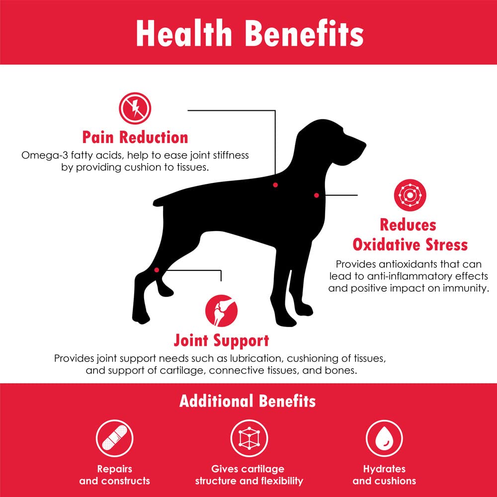Premium Triple Strength (TS) Soft Chews for Dogs - Glucosamine, Chondroitin & MSM Supplement - Hip & Joint Pain Relief for Large & Small Dogs - 6-Pack (1440 Chews) + Free Joint Treats - Ideal for Active Dogs & Senior Pets with Mobility Issues