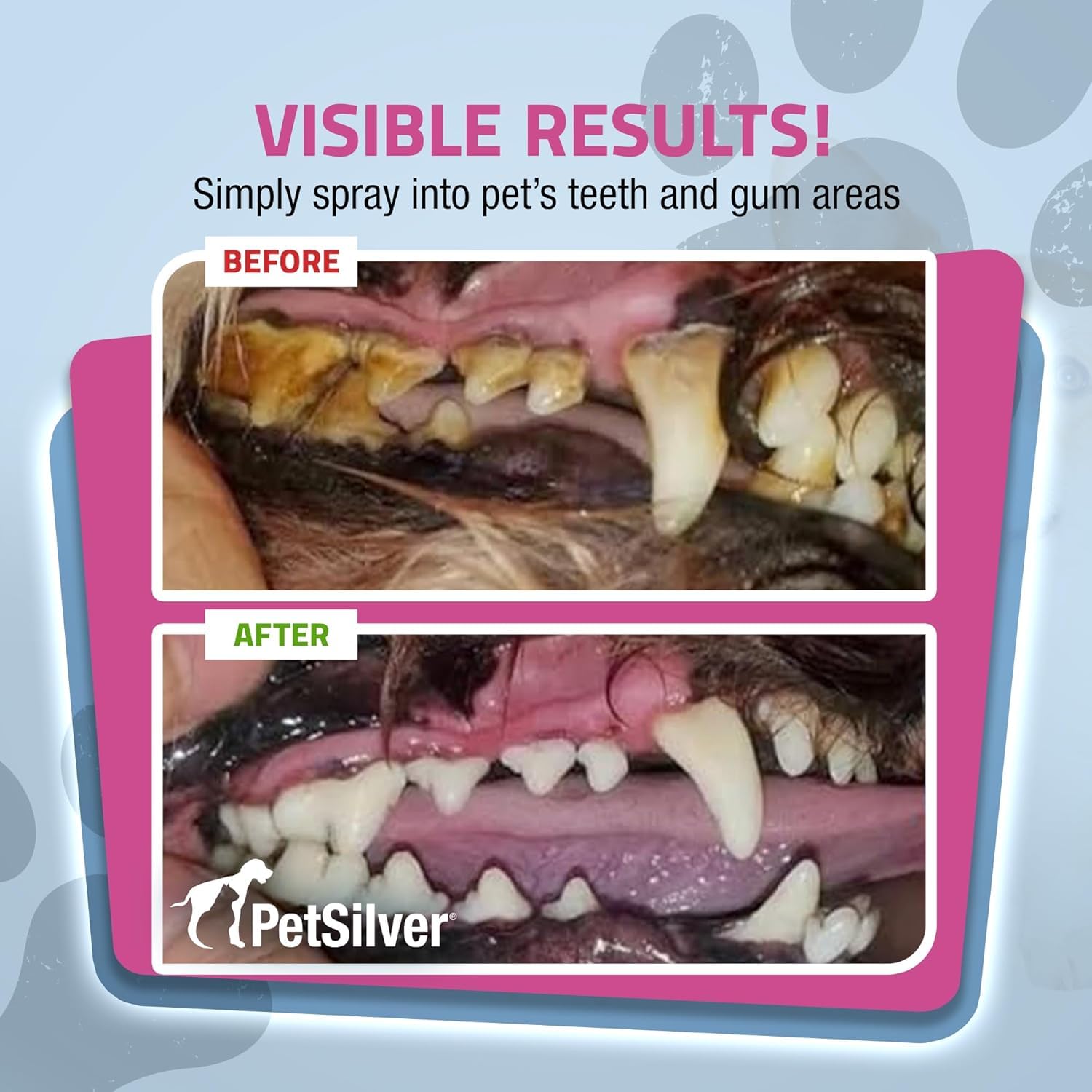 Pet Dental Care Spray for Dogs & Cats - Natural Teeth & Gum Cleaner with Patented Chelated Silver - Reduces Plaque & Tartar Build-Up - Fresh Breath Oral Hygiene Solution - Made in USA - 4oz, 2-Pack - Perfect for Daily Dental Care & Bad Breath Prevention