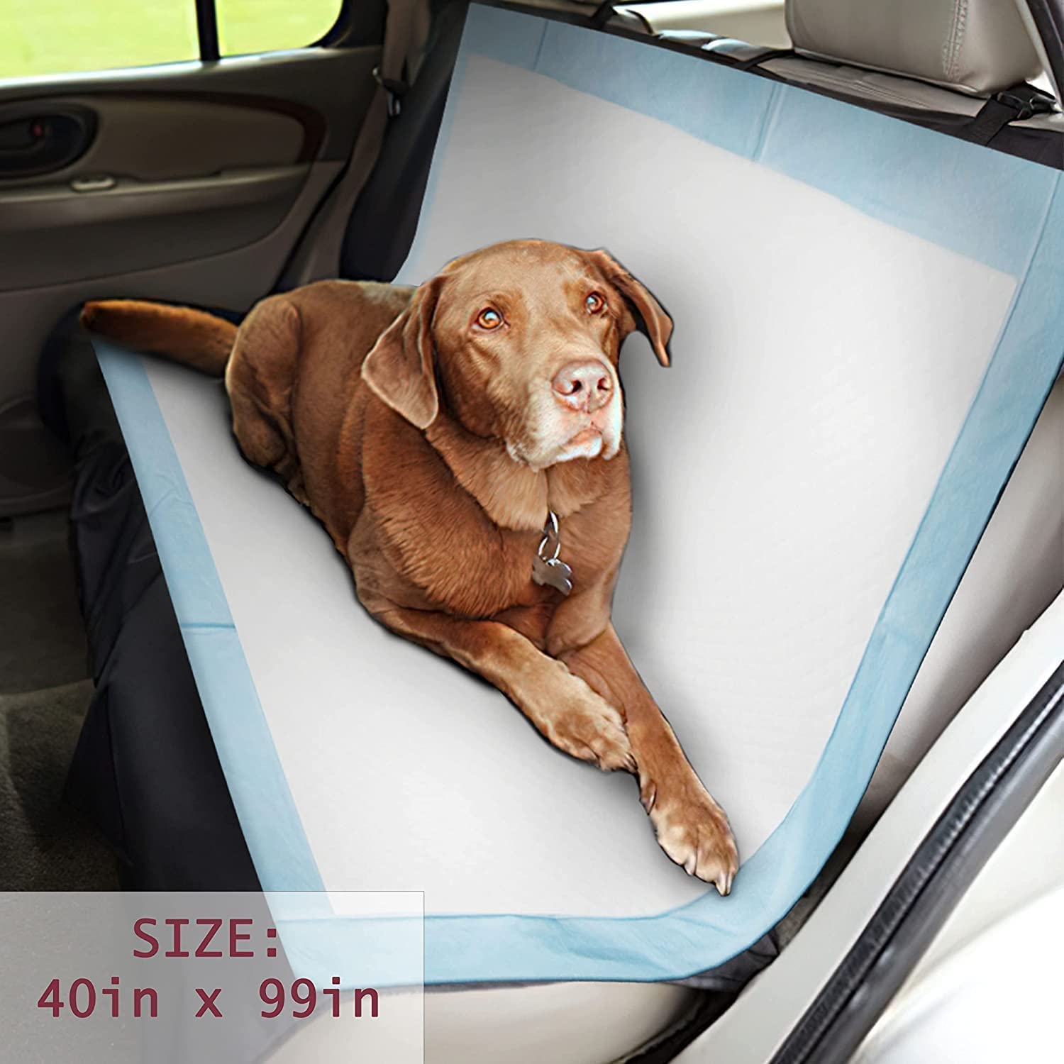 PETSWORLD Mega-Sized Dog Pee Pads (40