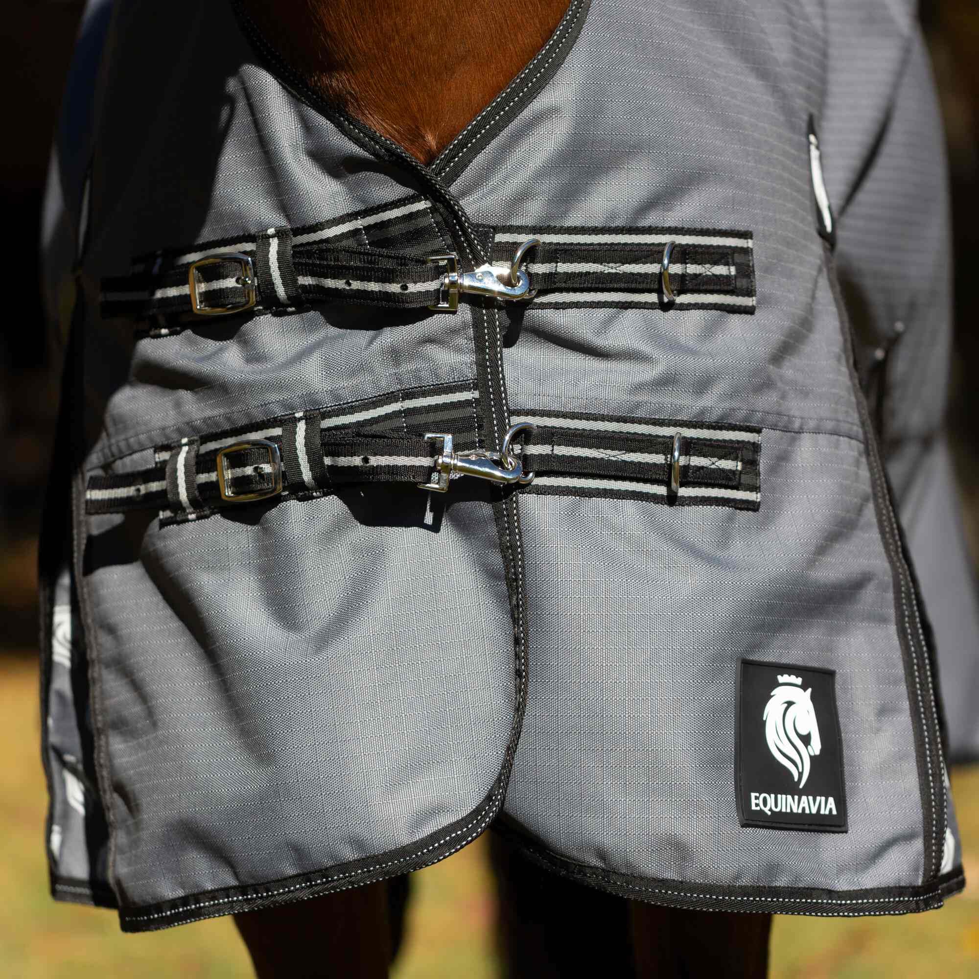 Equinavia Arktis Regular Neck Turnout Sheet - Waterproof Horse Blanket for Cold Weather - Carbon Gray - 81 Inches - Ideal for Winter Riding and Stable Use
