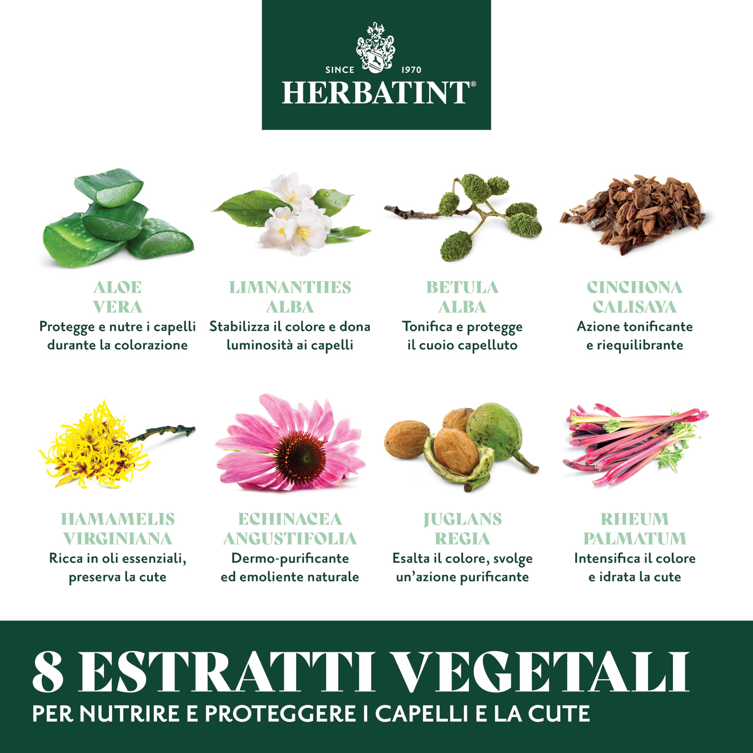 Herbatint Permanent Hair Color 7D Golden Blonde - Ammonia-Free Natural Hair Dye for Women & Men - Perfect for At-Home Hair Coloring & Salon-Quality Results