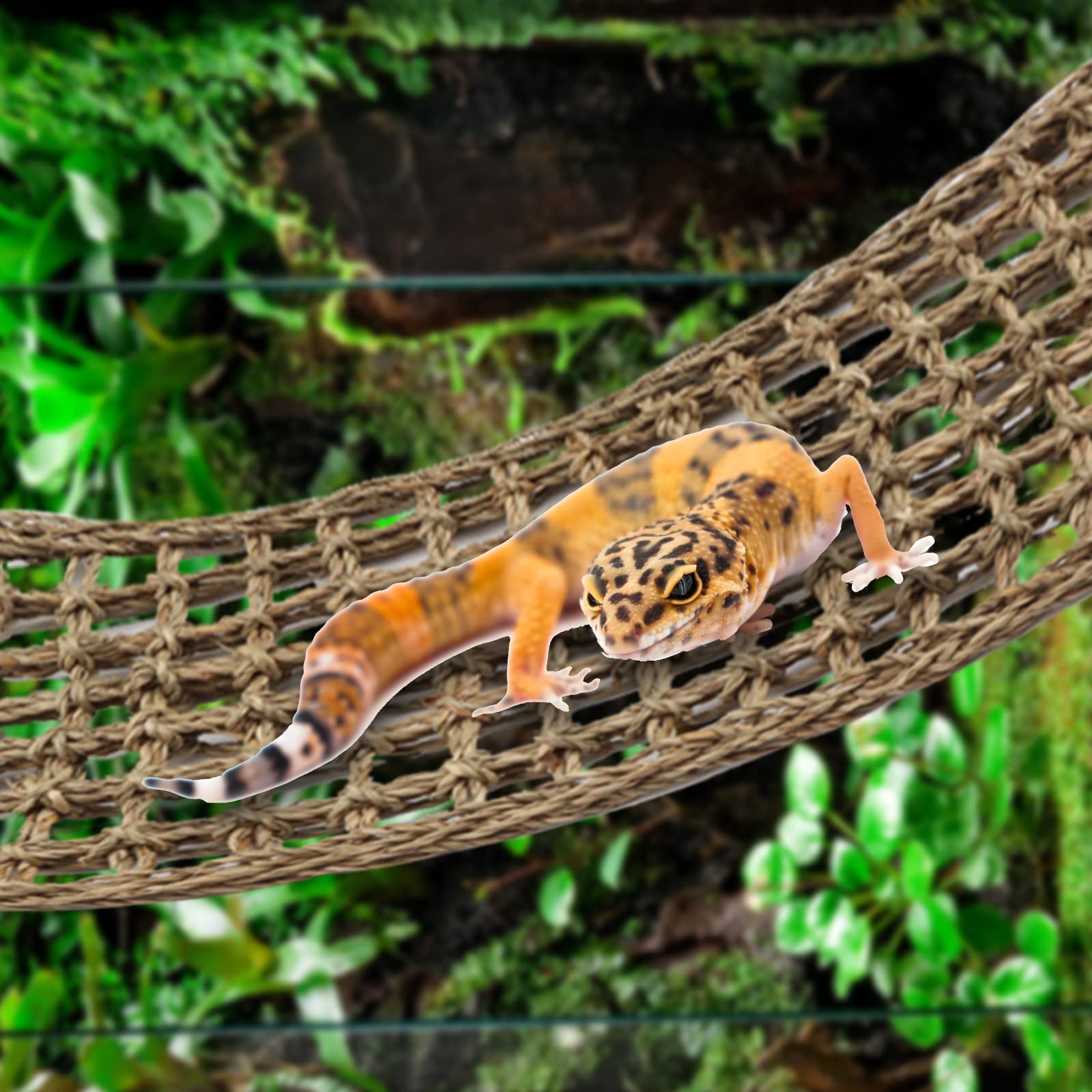 Premium Bearded Dragon Hammock & Reptile Hide Decor - Jungle Climbing Vines & Plants for Leopard Gecko, Chameleon, Lizard, Snake Tank Accessories | Perfect for Climbing, Basking & Habitat Enrichment