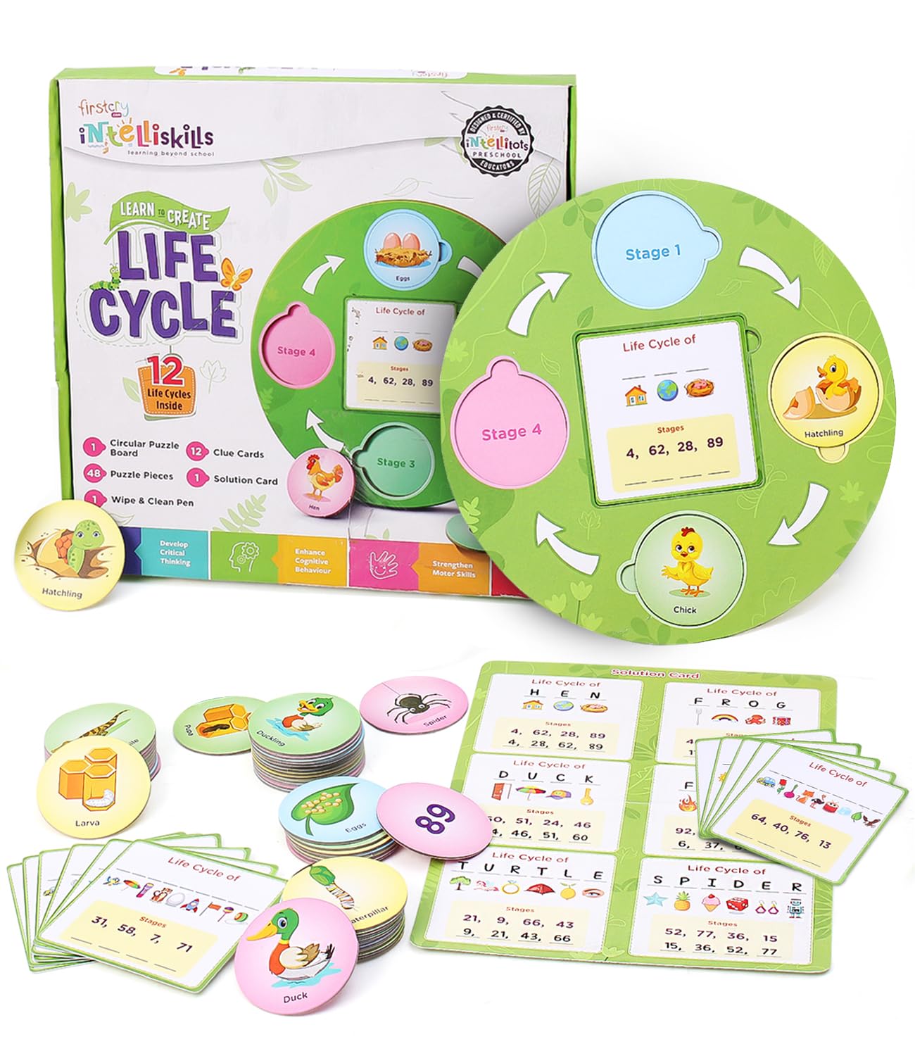 FIRSTCRY INTELLISKILLS Premium 63-Piece Life Cycle Puzzle for Kids - Educational Toy for Learning 12 Birds, Insects & Animals Life Cycles - Montessori Preschool Learning Game for Boys & Girls Ages 3+ | Perfect for Homeschooling, Classroom Activities & Birthday Gifts