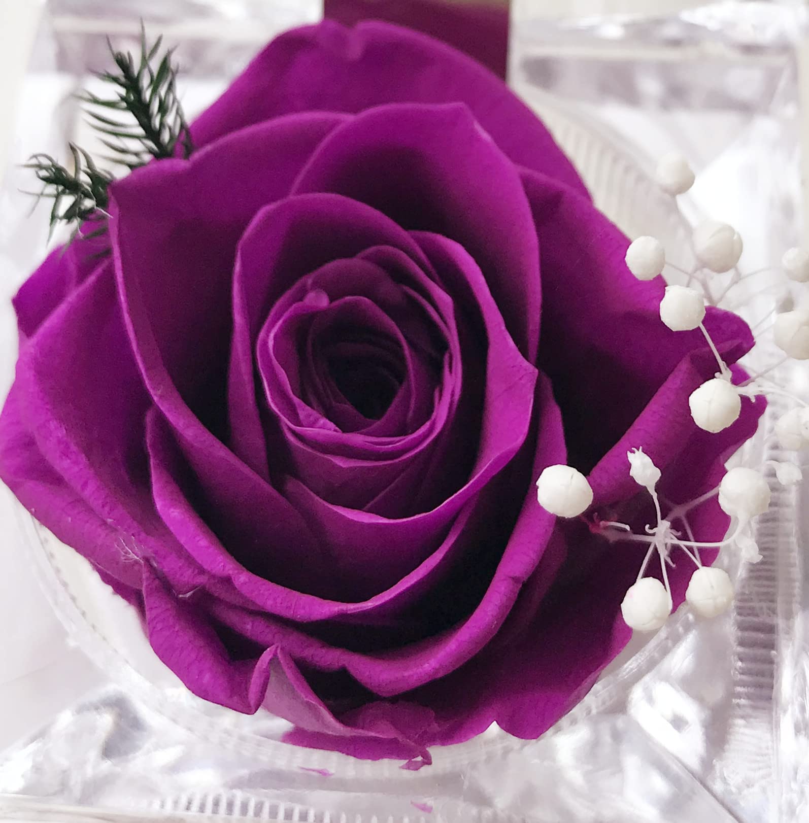 Real Preserved Rose in Mini Clear Ring Box - Eternal Flower Gift for Women, Mom, Girlfriend, Grandma | Perfect for Mother's Day, Anniversary, Valentine's, Christmas & Birthday (Purple) - Romantic Home Decor & Special Occasion Present