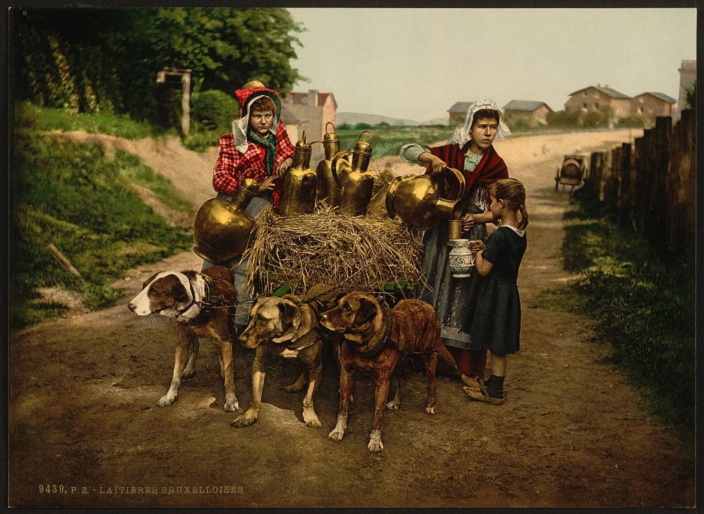 Milksellers Canvas Wall Art - 20x30 Inches Stretched Framed Ready to Hang - Perfect for Living Room, Bedroom & Office Decor