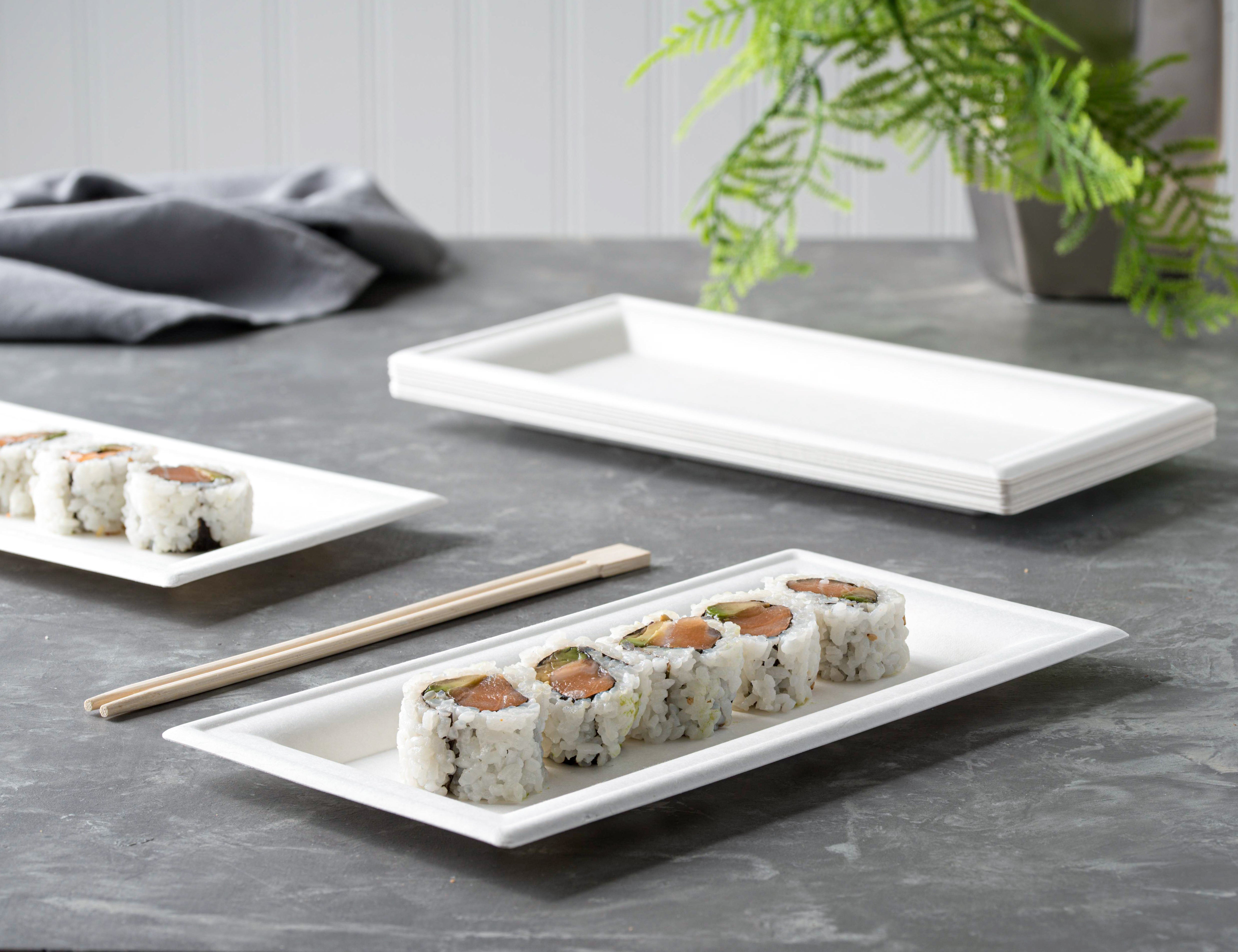 Eco-Friendly 100% Compostable Rectangle Paper Plates - 5