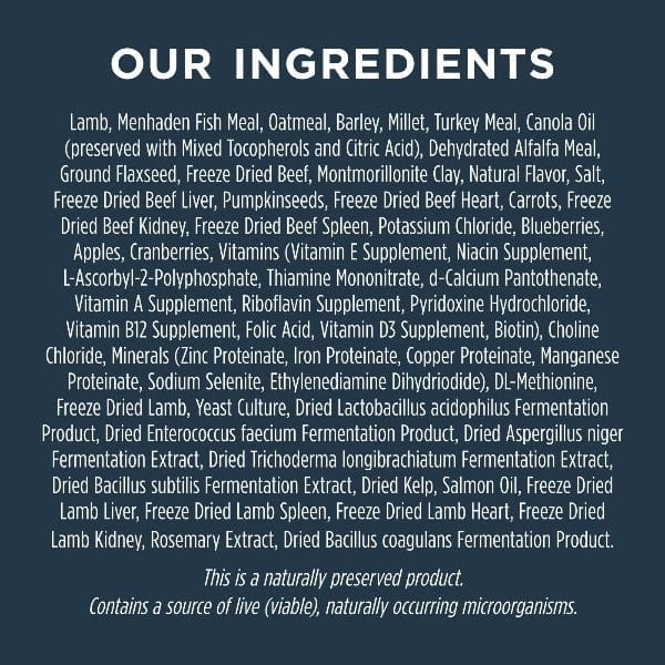 Instinct Raw Boost Whole Grain Real Lamb & Oatmeal Recipe Dry Dog Food - High Protein Grain-Inclusive Kibble for Adult Dogs - Perfect for Active Pets & Training Rewards