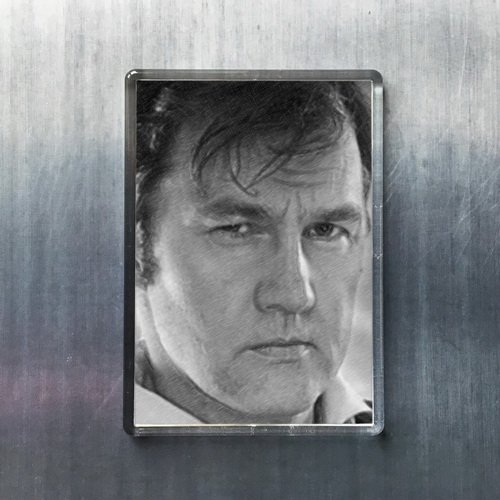 Original David Morrissey Art Fridge Magnet - Seasons Themed Collectible Souvenir for Home & Office Decor (JS001) | Perfect for Refrigerators, Lockers & Whiteboards