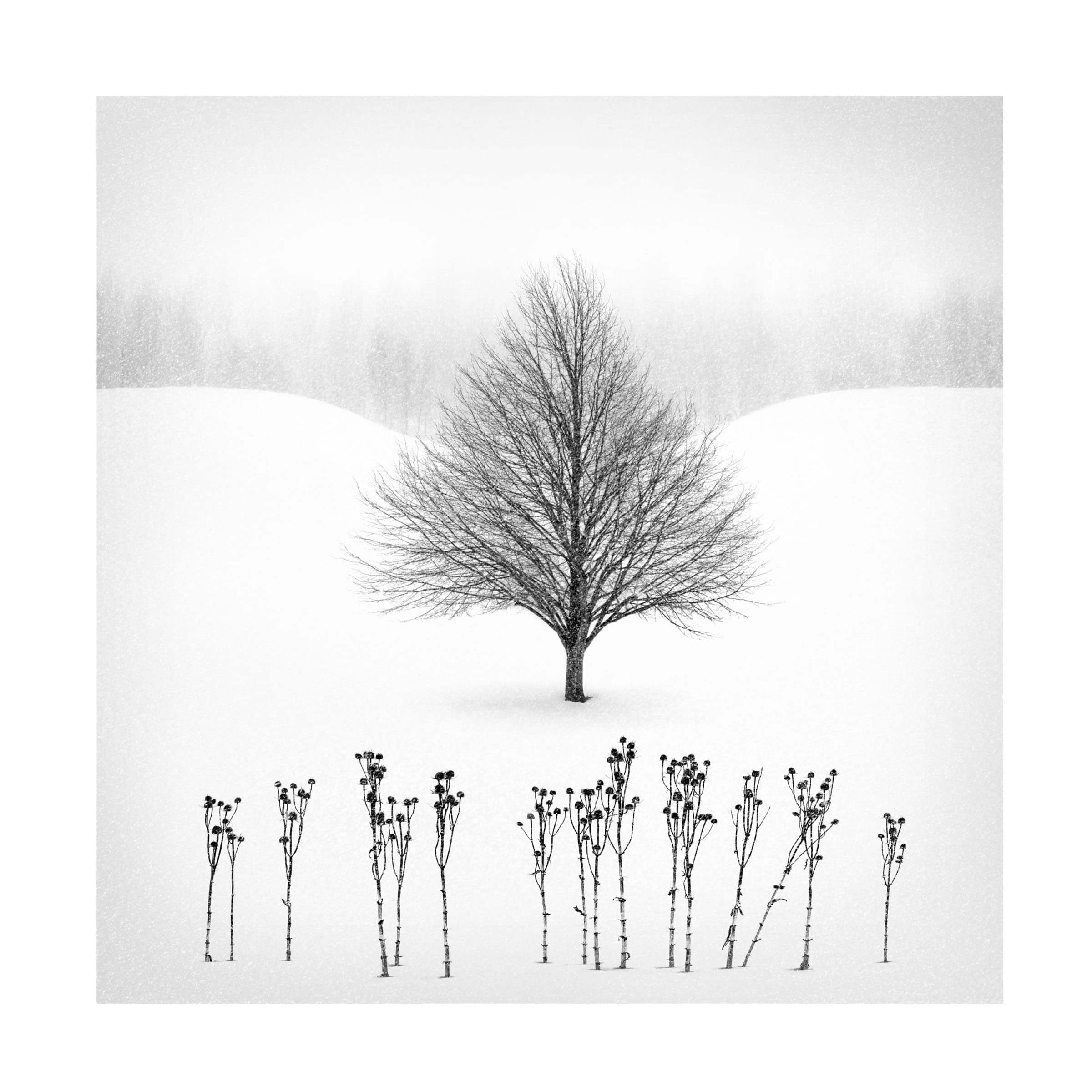 Matt Anderson 'White' Canvas Art Print - Modern Abstract Wall Decor for Living Room, Bedroom & Office - Trademark Fine Art Collection