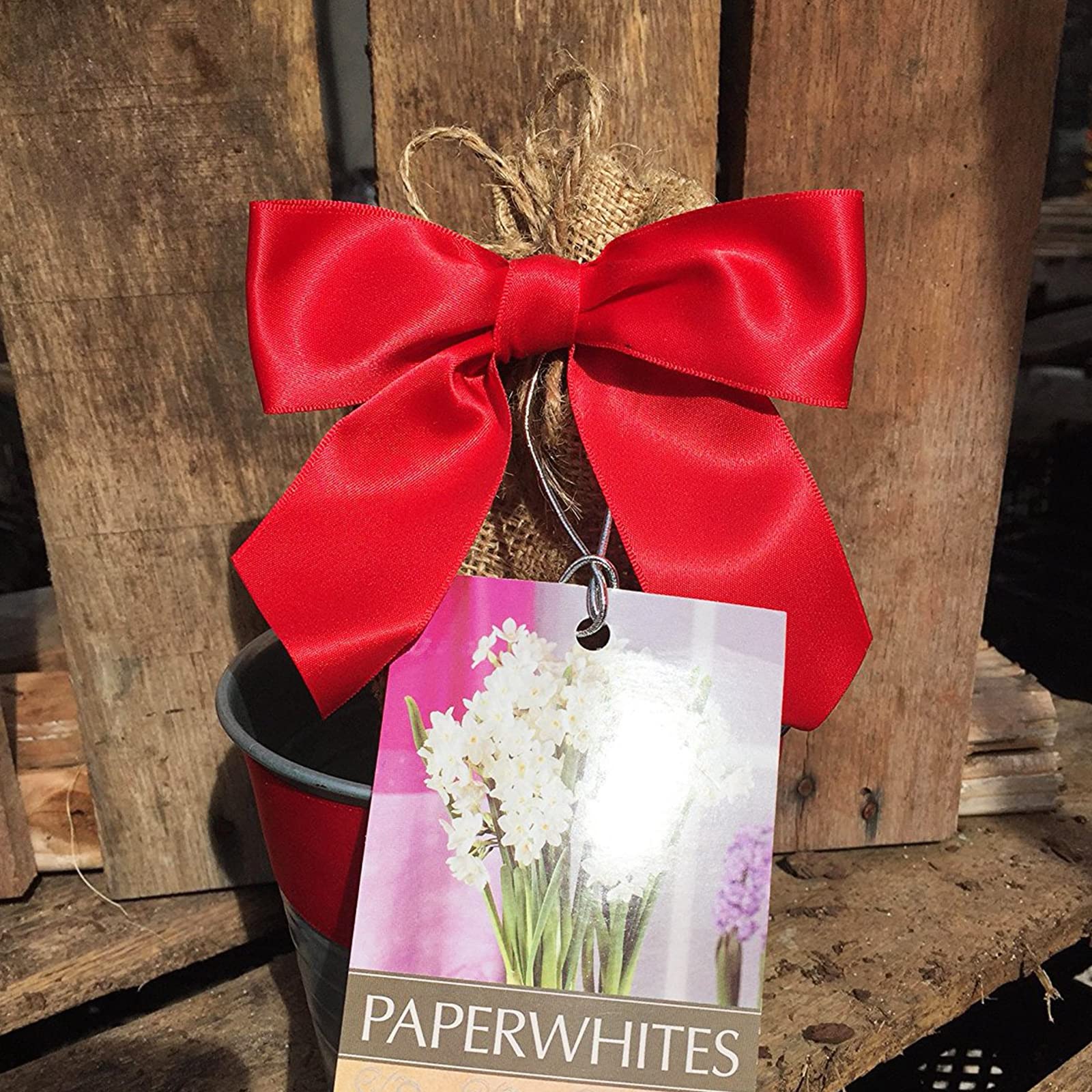 1-1/2 Inch Red Satin Ribbon - 25 Yards Thick Solid Fabric Ribbon for Gift Wrapping, Sewing, Crafts, Hair Bows & Cake Decorations - Perfect for Valentine's Day, Weddings, Christmas & DIY Projects