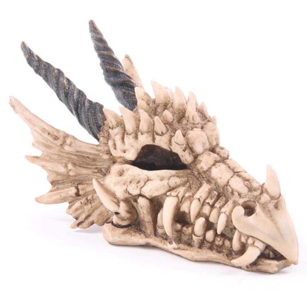 Handmade Dragon Skull Sculpture - Snarling Magical Treasure Trinket Box & Piggy Bank with Horns - Unique Coin Holder for Home Decor, Fantasy Collectibles & Gift Giving