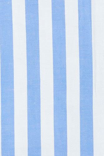 Chicory Blue Stripe