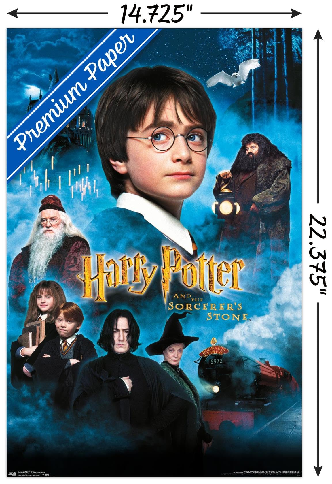 Trends International Harry Potter and the Sorcerer's Stone Wall Poster - 14.725 x 22.375 Inches Premium Unframed Movie Decor - Perfect for Bedroom, Dorm Room, and Office Decoration