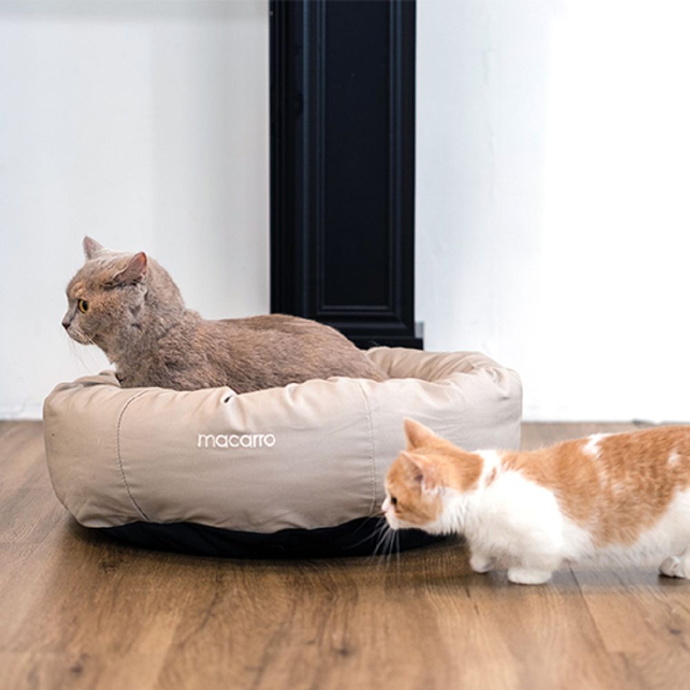 Premium Donut Latex Pet Bed - Ultra Soft & Comfortable Dog & Cat Bed for Small to Medium Pets - Perfect for Cuddling, Napping & Relaxing at Home or Travel