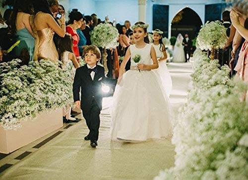 Bringsine 20-Pack White Artificial Baby's Breath Flowers - Fake Gypsophila for DIY Wedding Bouquets, Bridal Shower Centerpieces, Party Table Decorations - Perfect for Home, Office, and Event Decor