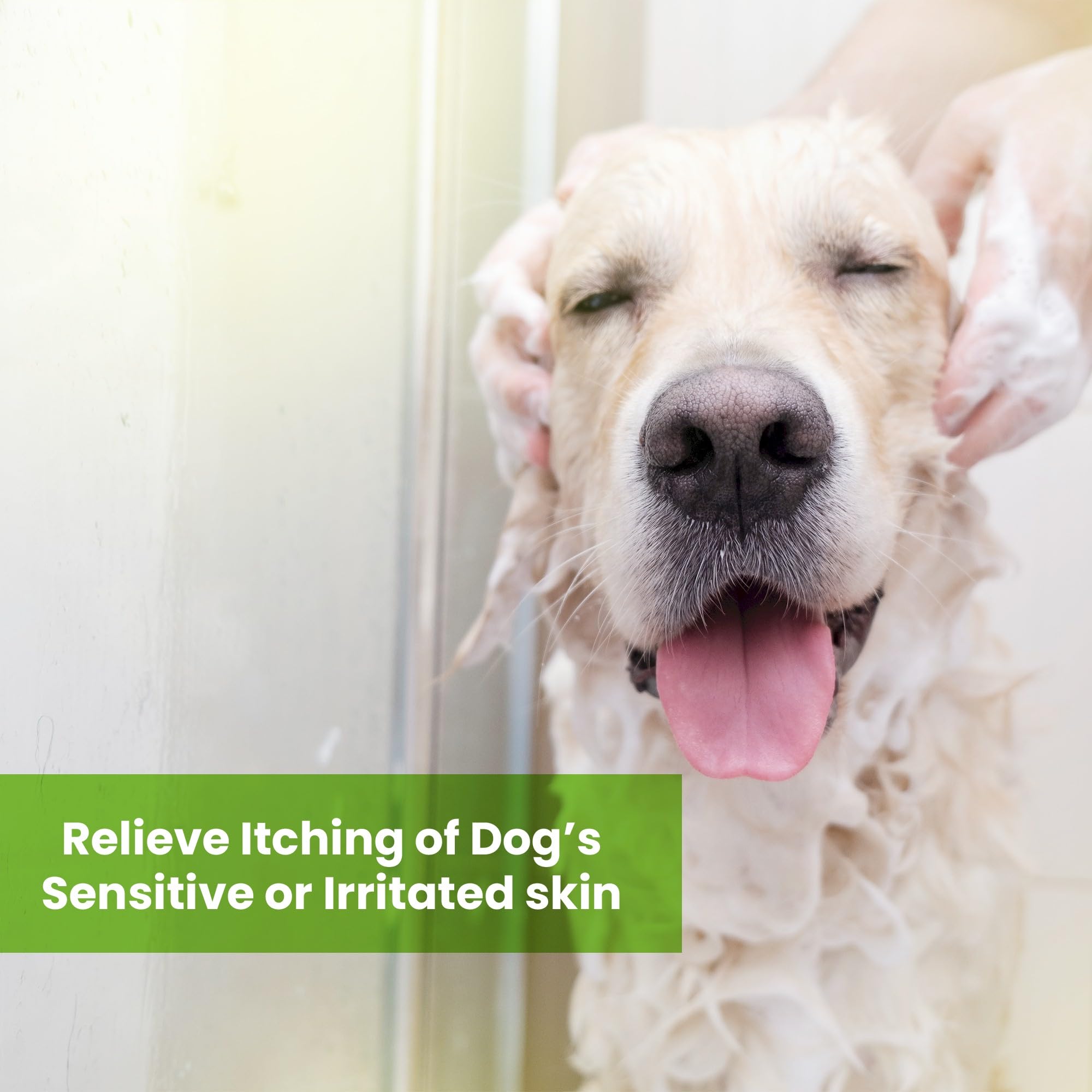 Gentle Tearless Dog Shampoo & Conditioner for Sensitive Skin - Moisturizing Puppy & Dog Shampoo - Fragrance-Free 13.5 oz - Perfect for Bath Time, Grooming & Allergy Relief