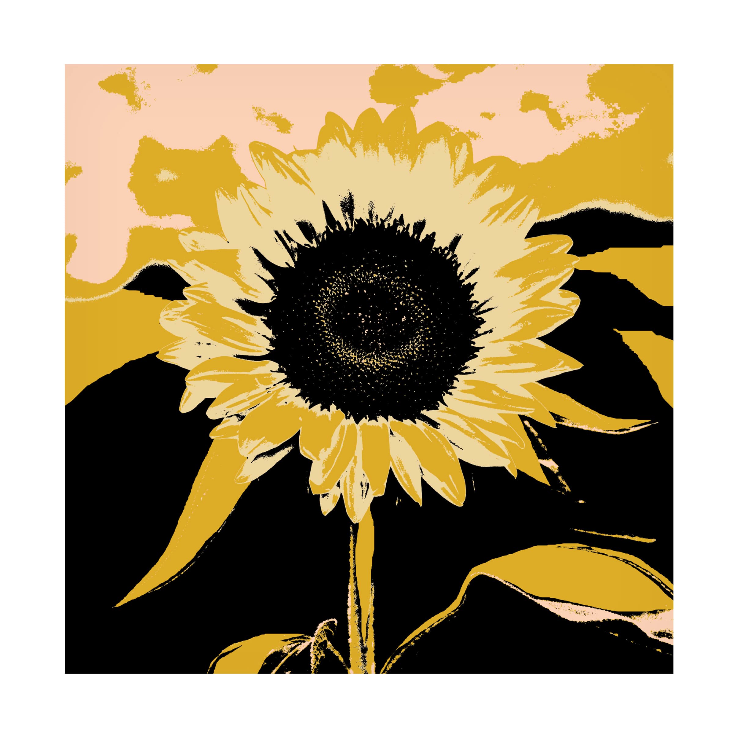 Jacob Green 'Pop Art Sunflower IV' Canvas Wall Art Print - Modern Home Decor for Living Room, Bedroom & Office