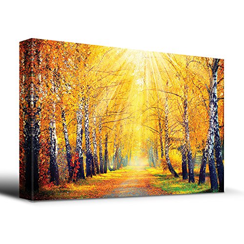 29. Autumn Trees Path